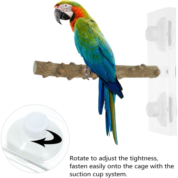 Fågelpinnar, papegojstativ Fågelträabborre med sugkopp Undulat Badabborre för bur Plattformstativ Budgieleksaker Tillbehör