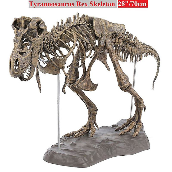 Tyrannosaurus Rex Skelett Dinosaurie Djursamlare Dekor Modellleksak