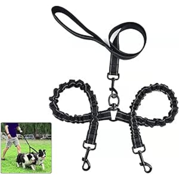 Dobbel hund 360° flokefri bånd for 2 hunder Dobbel hundebånd