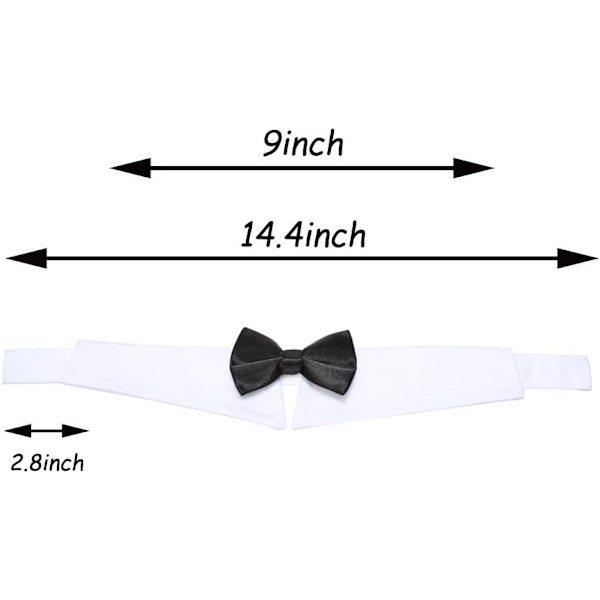 Lemmikkieläinten valmistujaislakki rusettisolmion kauluksella Koiran valmistujaishatut Asuste Puku koirille kissoille Hat+Bowtie