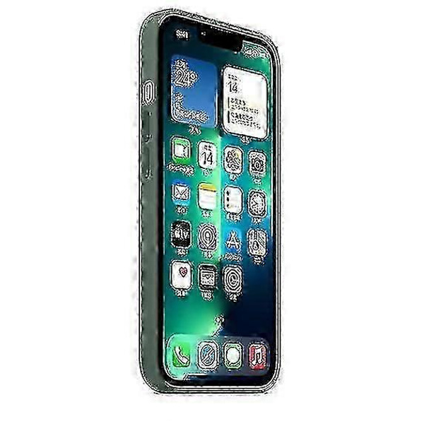 Silikondeksel med MagSafe for iPhone 13 Pro Eucalyptus