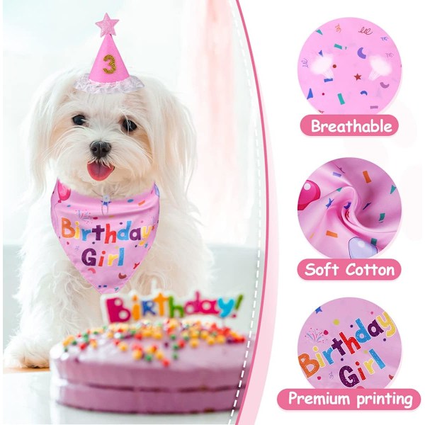 Hunde fødselsdagsfestartikler, hunde fødselsdagshalsbåndssæt, hunde dreng pige fødselsdagsfest hat med tal til store mellemstore små hunde kæledyr (blå) Pink Birthday