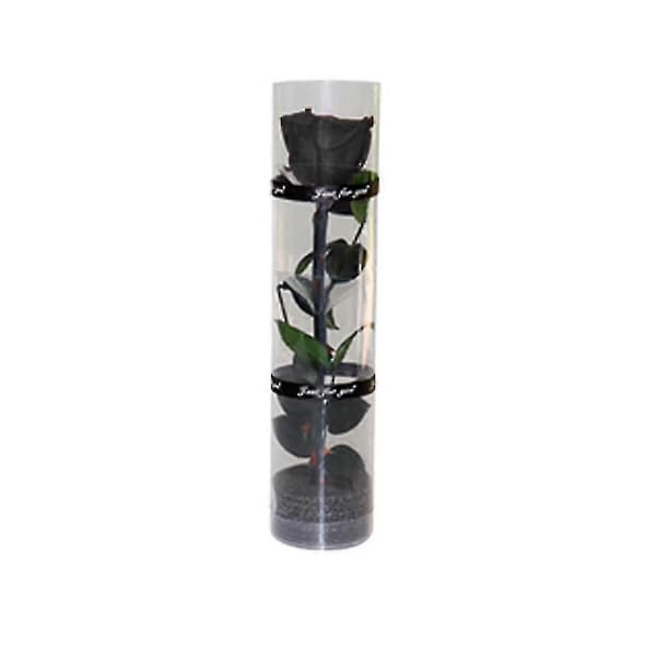 En ekte, evigvarende rose, holdbar rose, evig blomstrende rose black