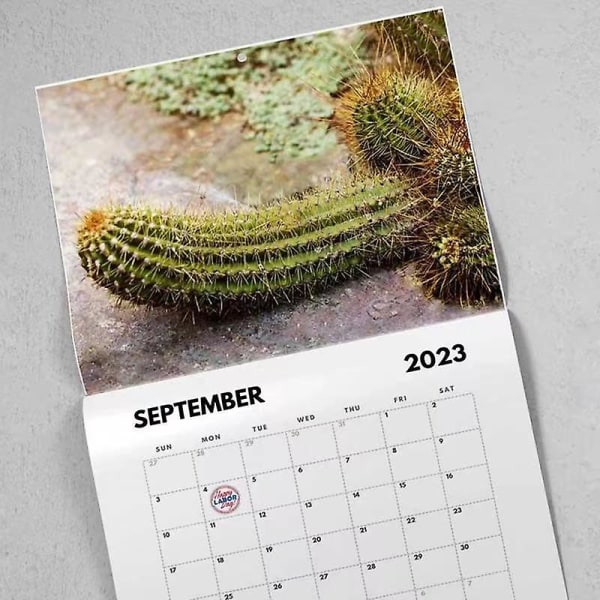 Nature's Dicks -kalenteri 2024, Nature's Cock Shots 2024 -seinäkalenteri tammikuusta joulukuuhun ajansuunnittelijaksi, joululahja 2pcs