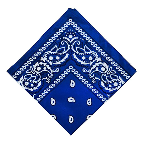 Unisex bomullsbandana med paisleymönster, cowboy-huvudduk, huvudband, kungligt blå