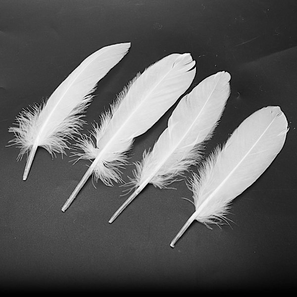 100 stk White Feathers Goose Craft kompatibel festhattehåndværk 15-22 cm