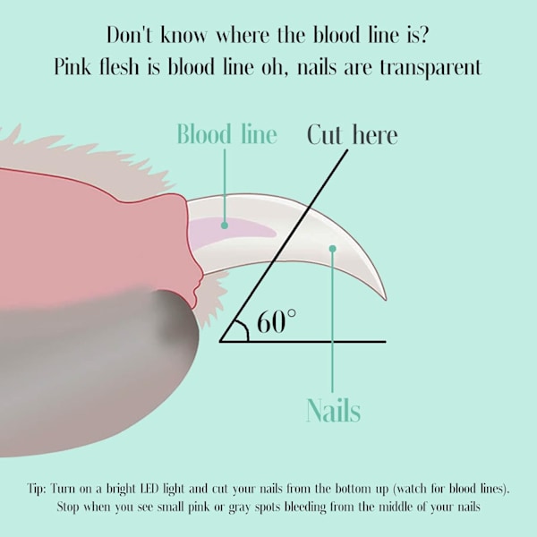Lemmikkien kynsileikkurit LED-valoilla, kissan kynsileikkurit sisäkissoille, kynsileikkurit pienille koirille, kynsileikkurit kissoille, kaneille, kynsileikkurit Blue