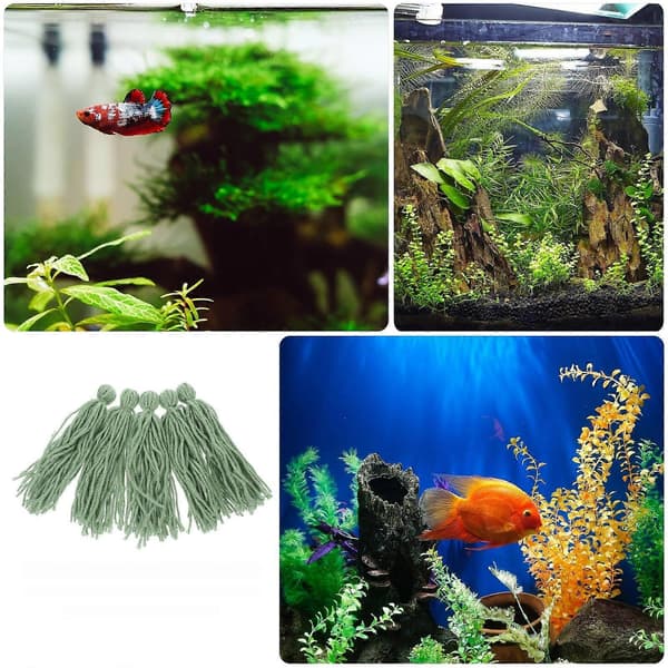 Fiskegyde-moppe til akvarium med 5 stk. til æglægning