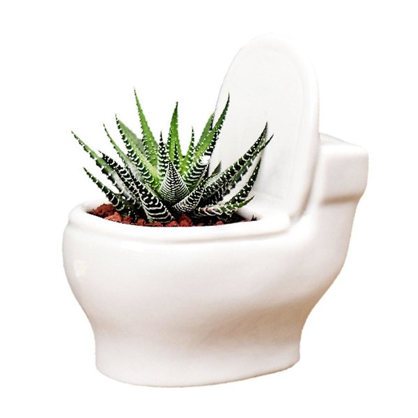 Blomkrukor Vas Ornament Växtkrukor Hem Trädgårdsdekoration