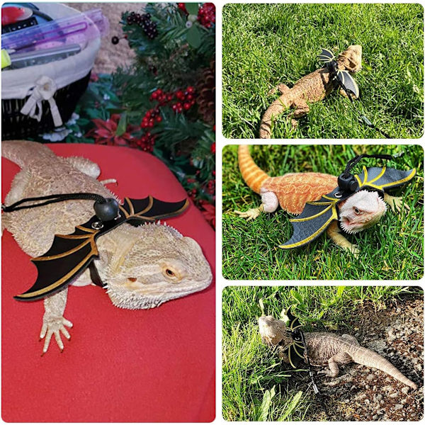 Justerbar Bearded Dragon Sele och koppel, 3 storlekar läder reptil koppel Utomhus sele koppel för ödlor Reptiler amfibier små husdjur