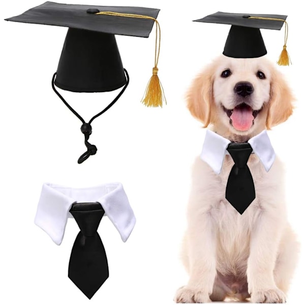 Kæledyr Gradueringshuer med Sløjfe Halsbånd Krave Hund Graduering Huer Tilbehør Kostume til Hunde Katte Hat+Necktie