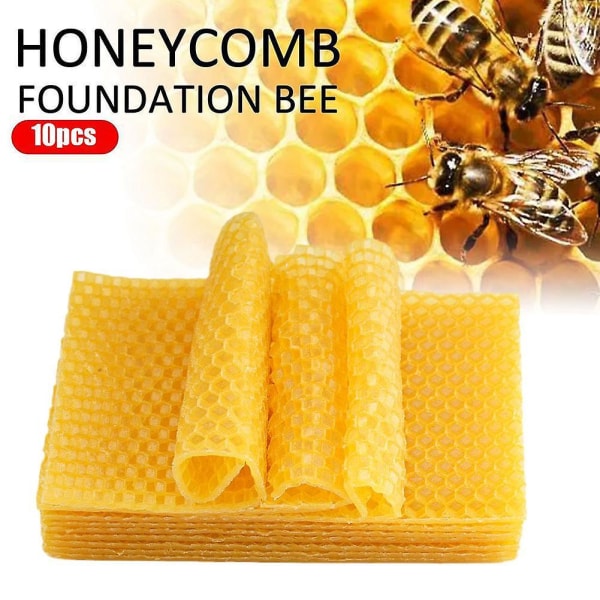Bee Keeping Foundation Equipment Deep Wax Nest Base Piece Honey Nest