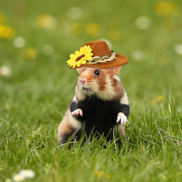 3 stk. små dyrehatte hamster kylling mini cowboyhatte blomst blade brun marsvin hatte filt lille søde kæledyr hat kostume tilbehør