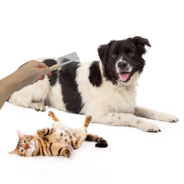 Træhåndteret plejekam til hunde, katte og kæledyr Double-Sided Teech Comb