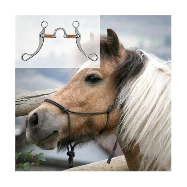 Rustfritt stål Snaffle Bit Heste bitt Western Snaffle Bits for munn trening Bitt med kobberport Silver