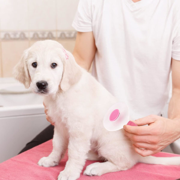 Hunde-katte-kanin-plejebørste til fjernelse af løse underpels - let at fjerne løse underpels, kæledyrsmassageapparat egnet til kæledyr med langt eller kort hår Pink