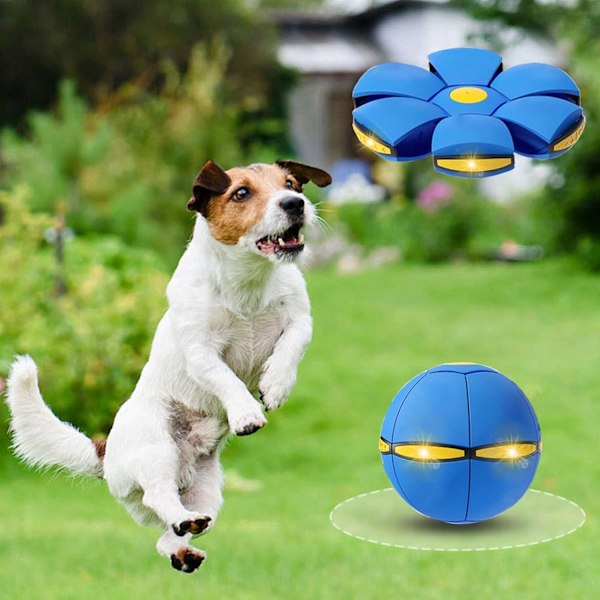 2 stk. flyvende hundeskivelegetøj, kæledyr legetøj flyvende underkop bold med 3 lys til hunde, flyvende underkop bold hundelegetøj udendørs legetøj hundedisk bold Green+Blue