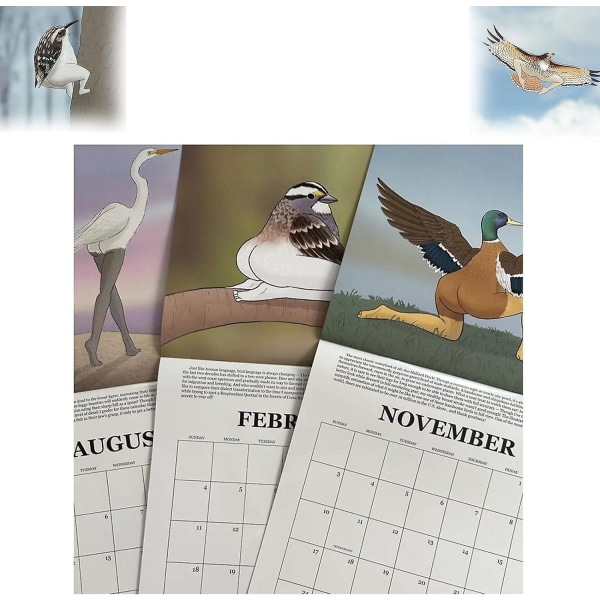 2024-kalender med ekstremt nøyaktige fugler, 2024-veggkalender for fuglekalender, morsomme kalendergaver til familie, venner 2pcs