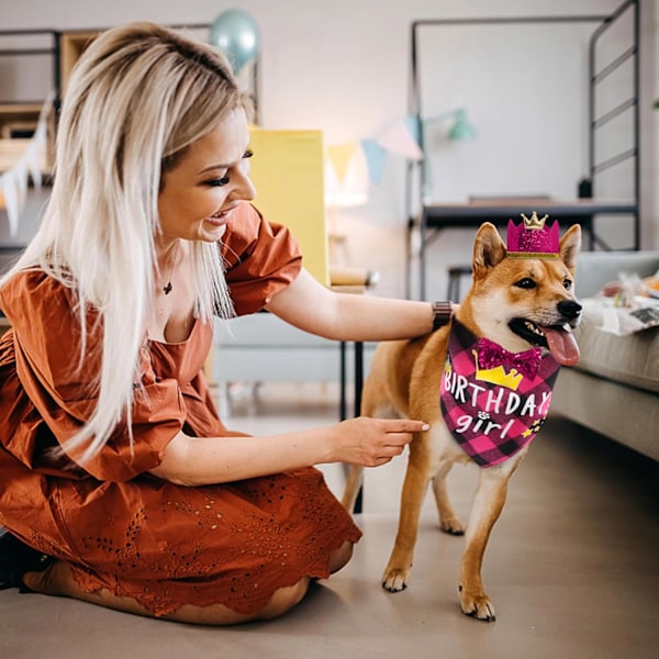 Fødselsdagsfestartikler til hunde, fødselsdagsbåndanasæt til hundepiger med sød hundesløjfe, kronehat med tal til små, mellemstore og store hunde Pink