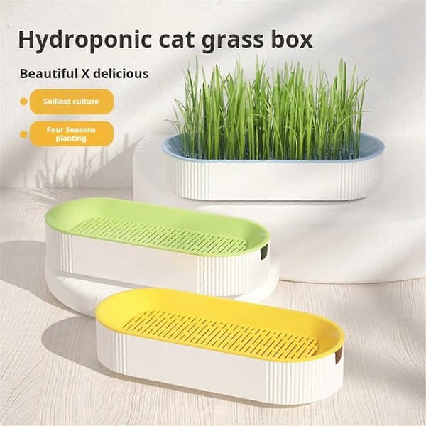 Hydroponisk Kattegressboks Kattegodbit Hydroponisk Jordfri Planting Kattegresspotte Gul