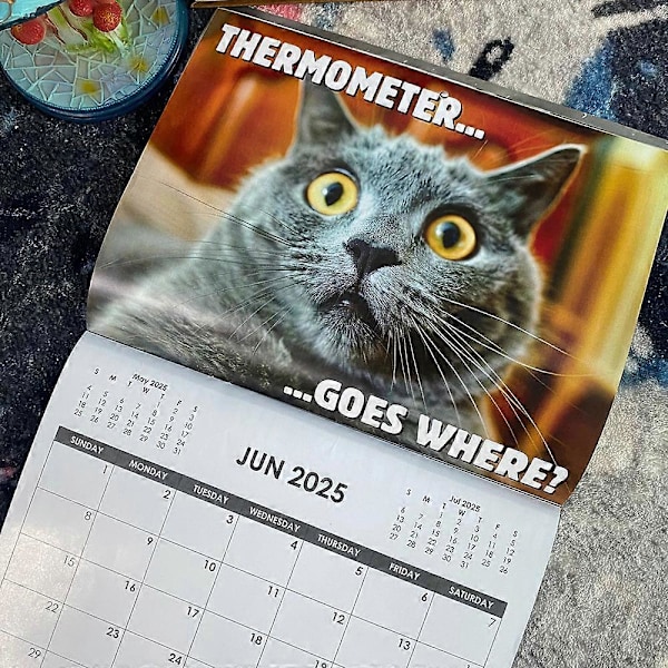 Morsom Sint Cat Calendar 2025, 12 Månedlige Hengende Veggkalenderplanlegger for Katt-Elskere Julegave