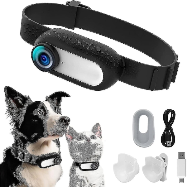 Hd 1080p hundspårhalsband, inget wifi behövs katthalsband, sport-/actionkamera med videoskivor, mini