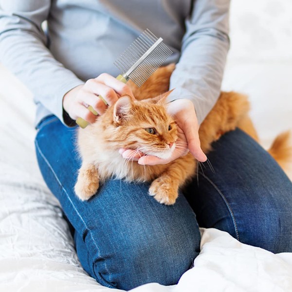 Træhåndteret plejekam til hunde, katte og kæledyr Double-Sided Teech Comb