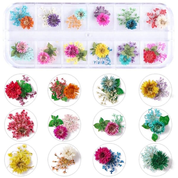 2 laatikkoa kuivattuja kukkia nail art varten , 24 väriä kuivakukkia Mini Real Natural Flowers Nail Art Supplies 3D applikoitu kynsien koristelu tarra vihjeille miehelle