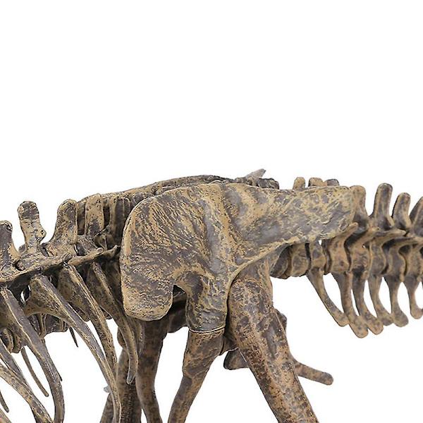 Tyrannosaurus Rex Skeleton Dinosaur Animal Collector Decor Model Lelu