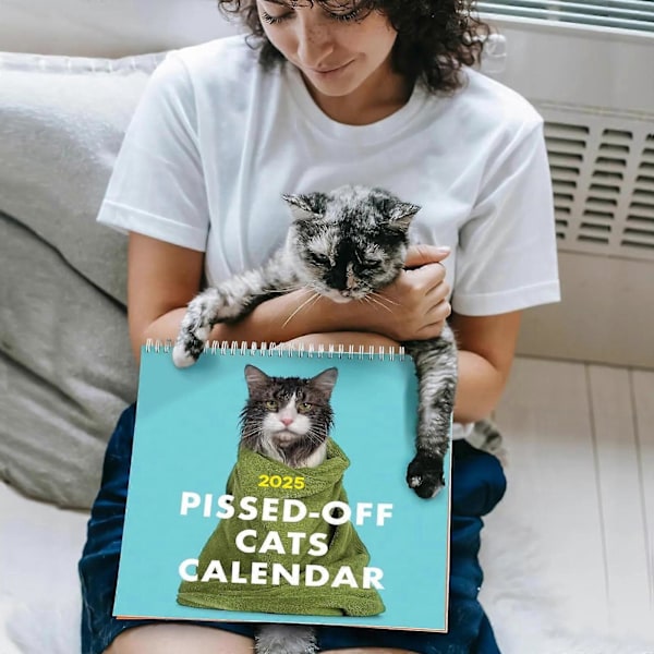 2025 Pissed-Off Cats Kalender - Sintrige Katter 2025 Kalender