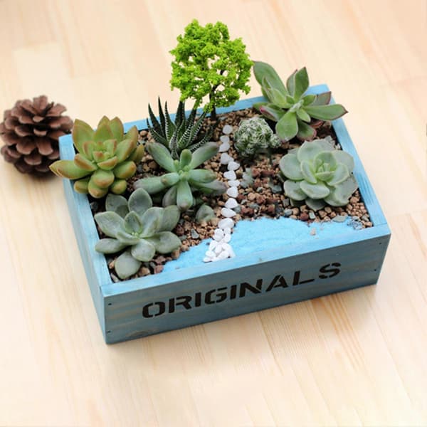 Retro træsucculent plantekasse – skrivebordsopbevaring – til mikrolandskab og planter