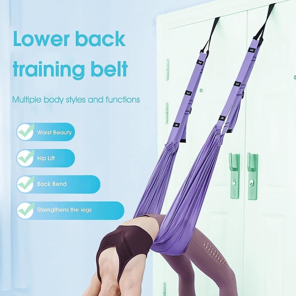 Stretchband Aerial Yoga Prop Wear- Aerial Yoga Swing Hängmatta för Fitness Purple XXLarge