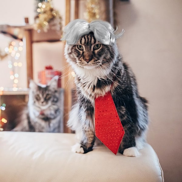 Kat Cosplay Paryk, Sølv Kæledyr Parykker Justerbar Sjov Cosplay Hovedbeklædning til Små Hunde Katte Jul Ferie Fester