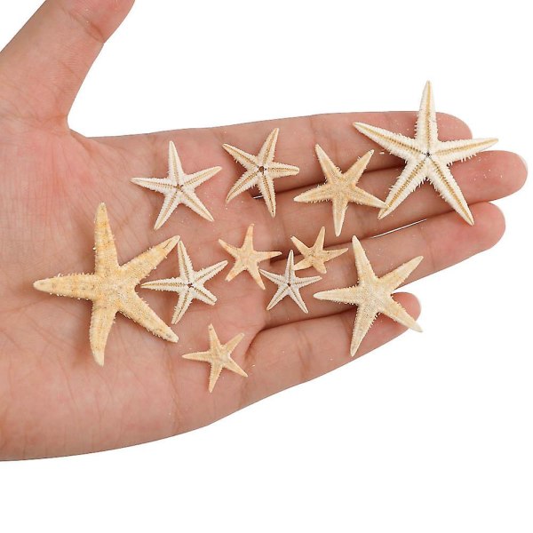 100 st Naturlig sjöstjärna Seashell Beach Craft Natural Sea Stars Gör själv-strandbröllopsdekoration hantverk