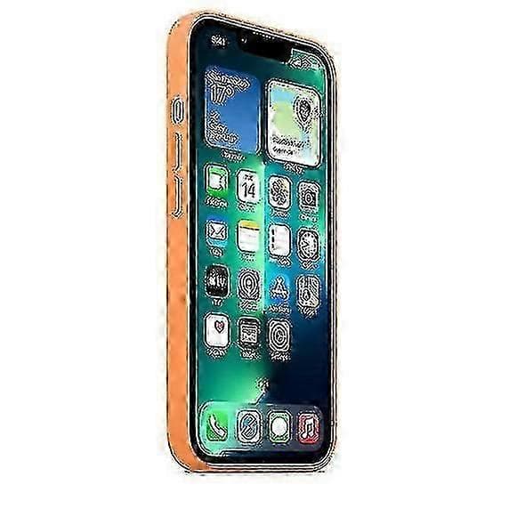 Silikonetui med MagSafe til iPhone 13 Pro Marigold