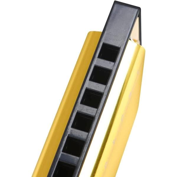 Blues Harmonica, Diatonic Blues Harmonica in C Key, 10 Holes 20 Tones Blues Harp Harmonica (Rose Red) gold