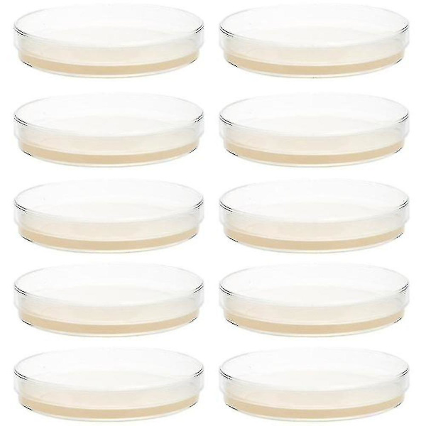 10 st förhällda agarplattor petriskålar med agar Science Experiment Supplies Tw