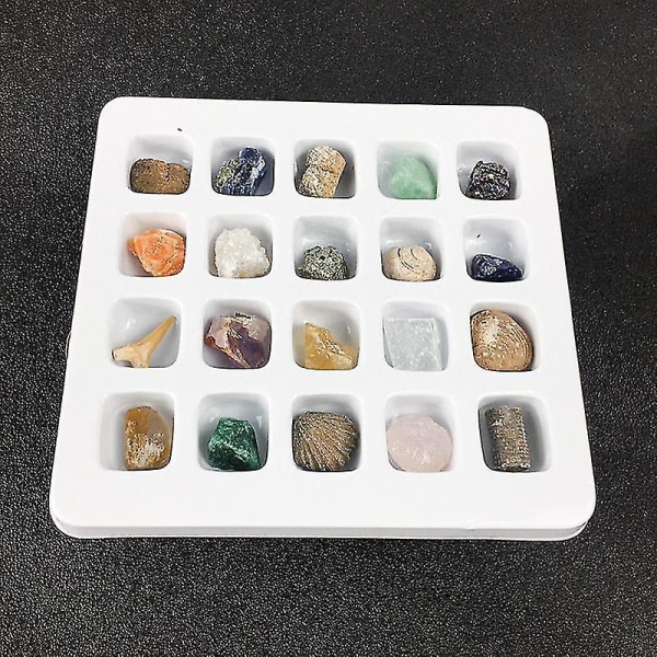 Rocks And Minerals Collection Rock Science Kit 20 st Kristaller Geosciences Industries Classroom