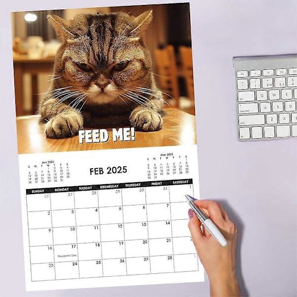 Morsom Sint Cat Calendar 2025, 12 Månedlige Hengende Veggkalenderplanlegger for Katt-Elskere Julegave