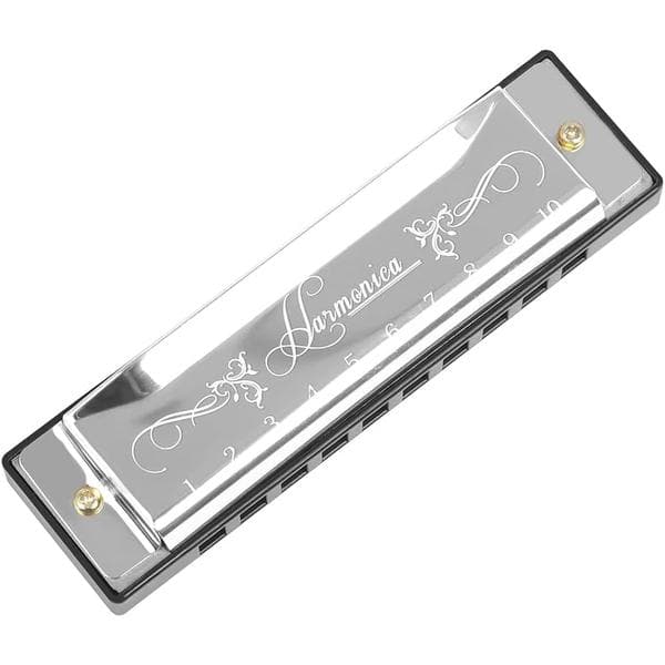 Blues Harmonica, Diatonic Blues Harmonica in C Key, 10 Holes 20 Tones Blues Harp Harmonica (Rose Red) silver