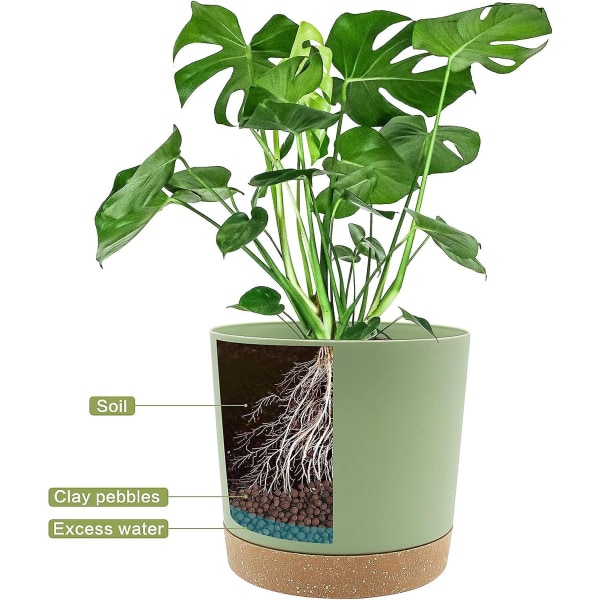 Urtepotter Pakke med 2 20,5 cm, urtepotter til indendørs planter med drænhuller og aftagelig bund, Coaster Moderne Dekorativ (grøn 20,5 cm)