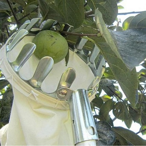 Fruktplockare i metall på hög höjd Fruktplockare Bärbar fruktplockare Jordbruksredskap för trädgårdsmaskiner