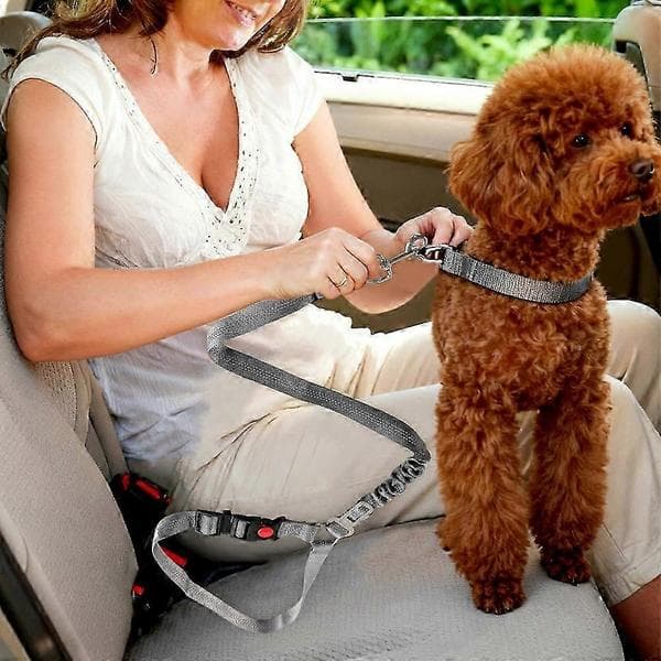 Nackstöd hund bilbälte 2-pack Justerbart Slitstarkt Nackstöd Säkerhetsbälte Husdjur Hund Bil Säkerhetssele Med Elastisk Nylon Bungee Buffer Grå!ZZ59