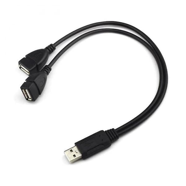 USB 2.0 A Han til 2 Dobbelt USB Hun Data Hub Strømadapter Y Splitter Kabel