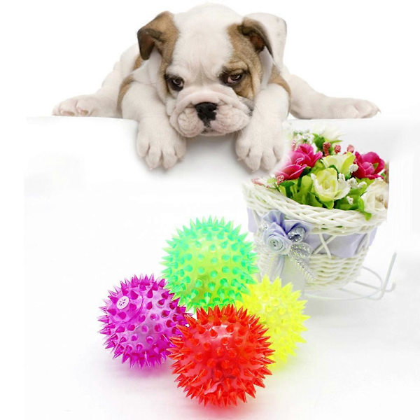 5 st Hundträning Bollar med LED-Ljus Hund Hämta Boll Leksaker Husdjur Interaktiva Leksaker