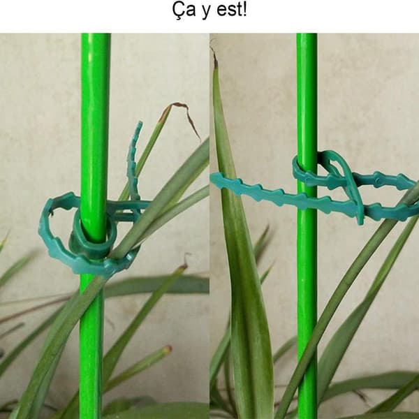 80 st Tomatplantstöd, Justerbara Växtstöd och Bindtråd, Plastbindare för Trädgård DIY