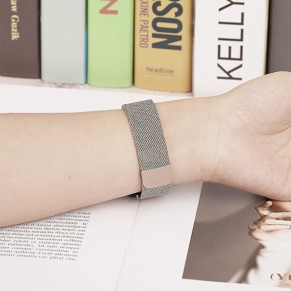 Udskiftningsrem i mesh med magnetisk smart watch-bånd til Garmin Vivomove Style/GarminMove Style (20 mm)