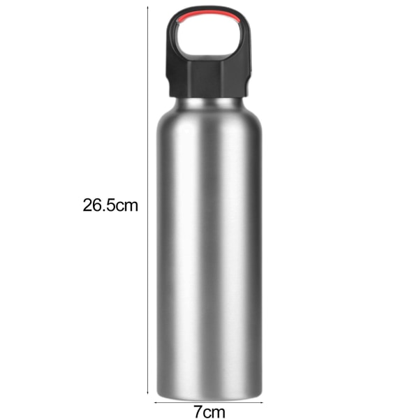 1 sæt 660 ml vandflaske varmebestandighed stor kapacitet drikke rustfrit stål MTB landevejscykel drikke flaske udendørs cykling Tianyuhe Red