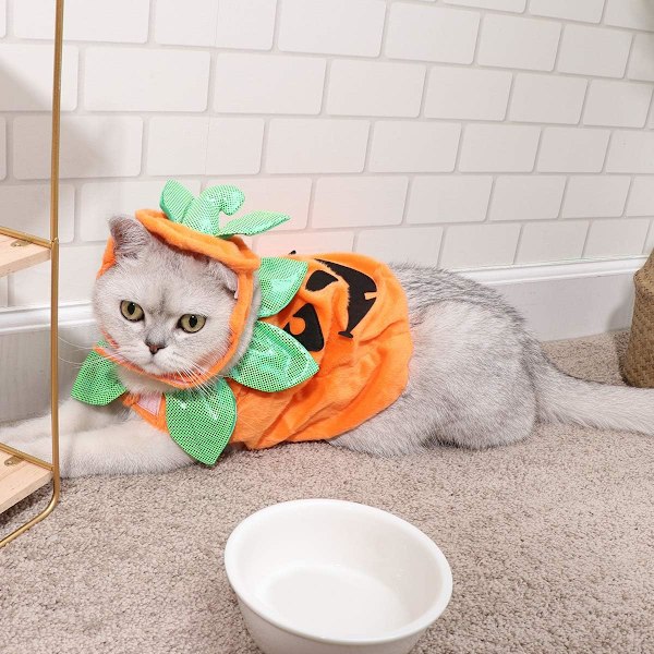 Katt Pumpa Kostym - Halloween Katt Kostym Dräkter Kläder Hatdress Huvudband Festival Pumpa Kostymer för Hundar Katter