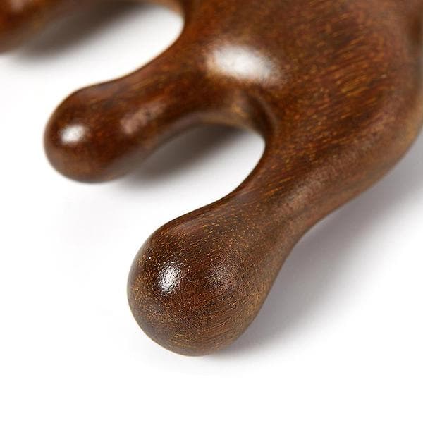 Massagekam Træ Massager Hoved Meridian Skrabning Zoneterapi Kropsterapi